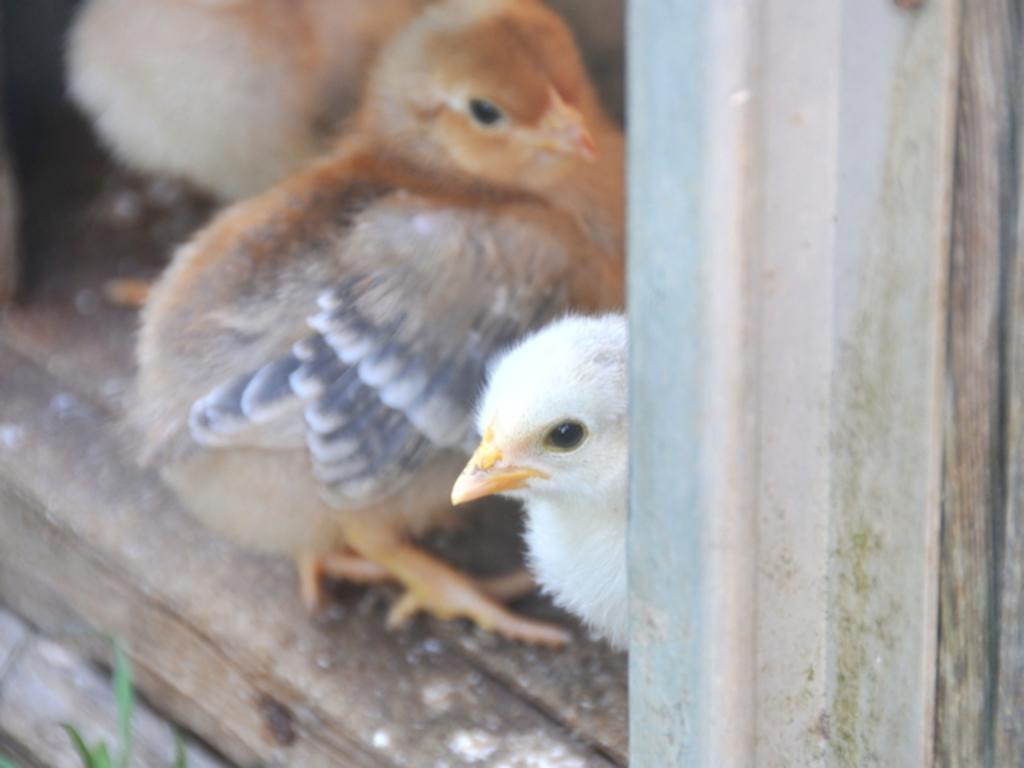 Ferienwohnung Neuendorf Neuendorf  エクステリア 写真