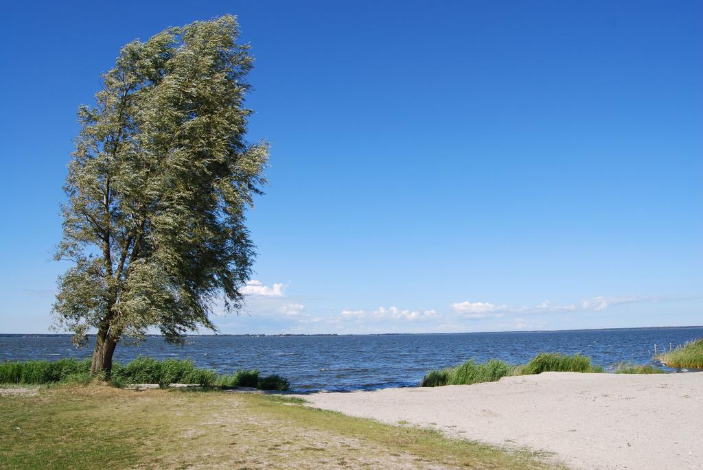 Ferienwohnung Neuendorf Neuendorf  エクステリア 写真